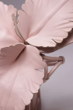 Hibicsus